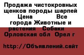 Продажа чистокровных щенков породы шарпей › Цена ­ 8 000 - Все города Животные и растения » Собаки   . Орловская обл.,Орел г.